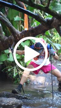 BIB:  <button type="button" onclick="openModal(27825634)" class="btn btn-primary btn-sm float-right" data-toggle="modal" data-target=".modal-high-quality">
                <i class="fa fa-download"></i> Download
                </button>